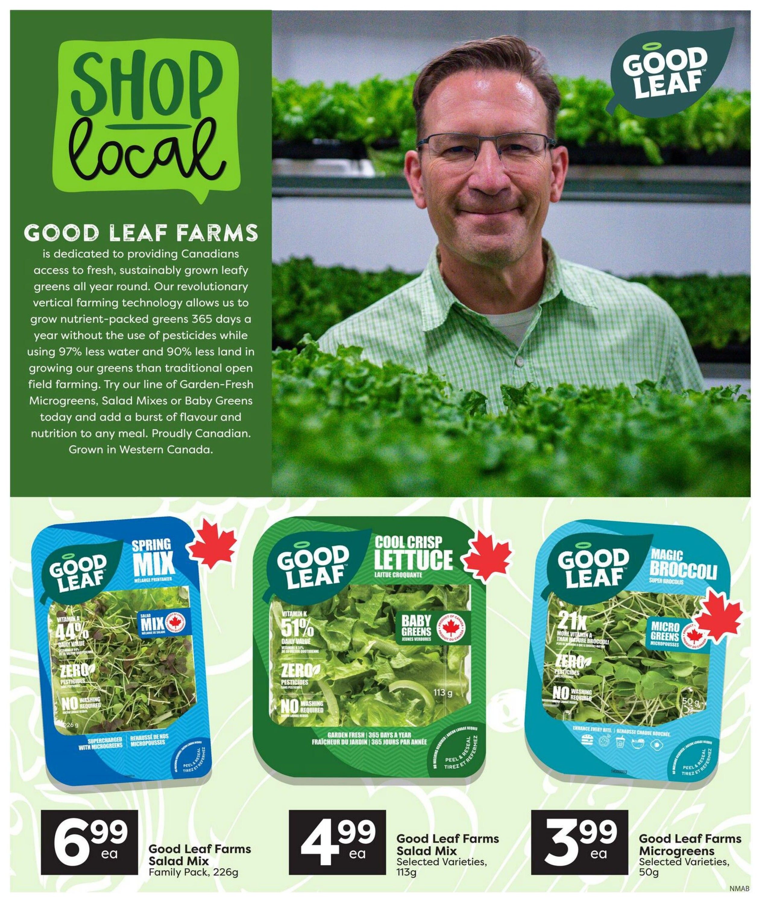 Nesters Market Flyer July 30 to August 5