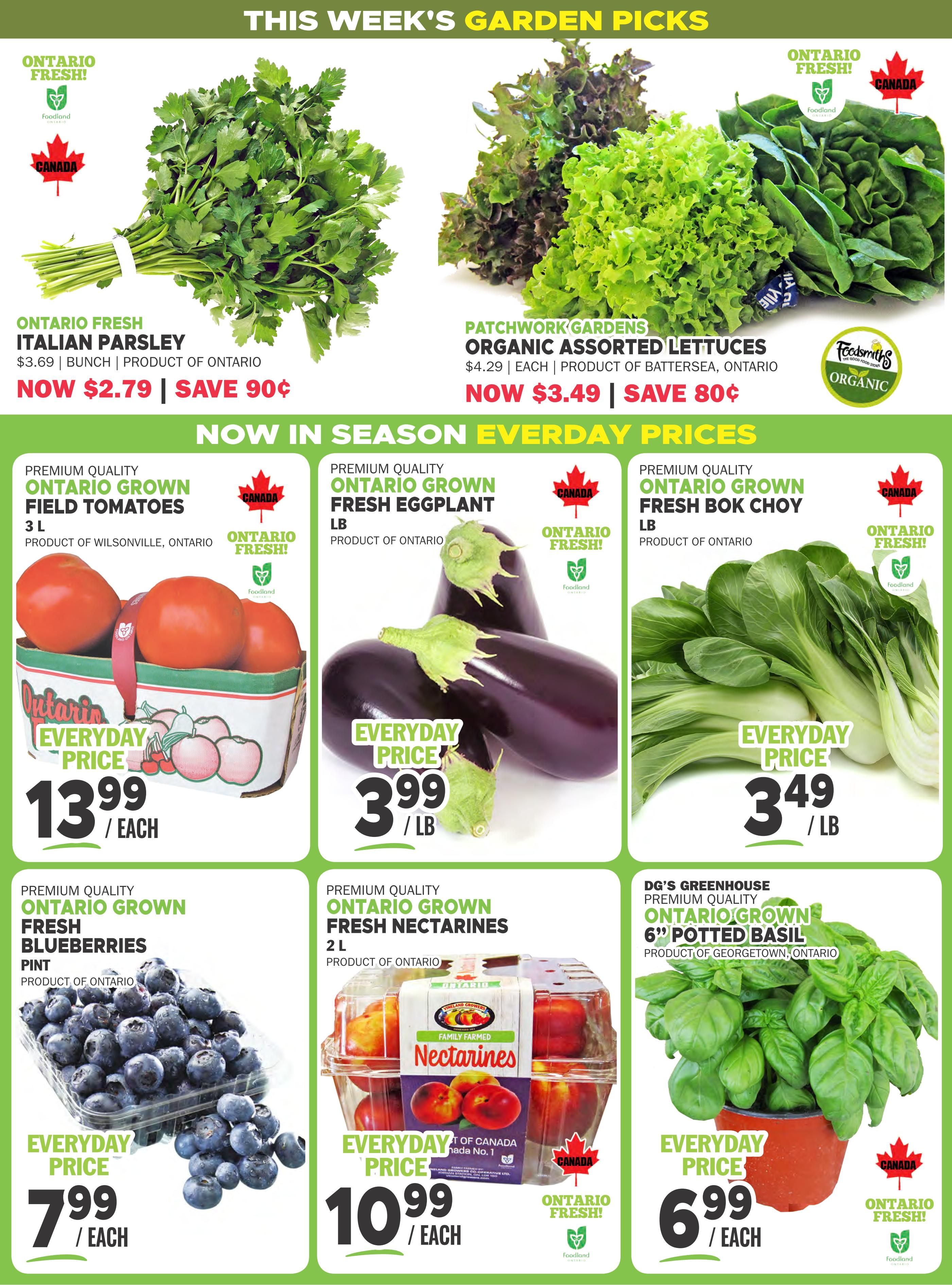 Foodsmiths Flyer July 30 to August 6
