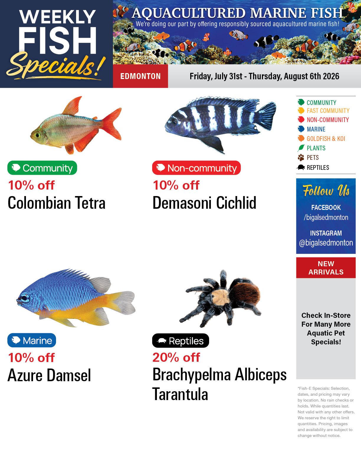 Big Al's (Edmonton) Weekly Specials July 31 to August 6