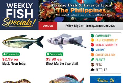 Big Al's (London) Weekend Specials July 31 to August 2