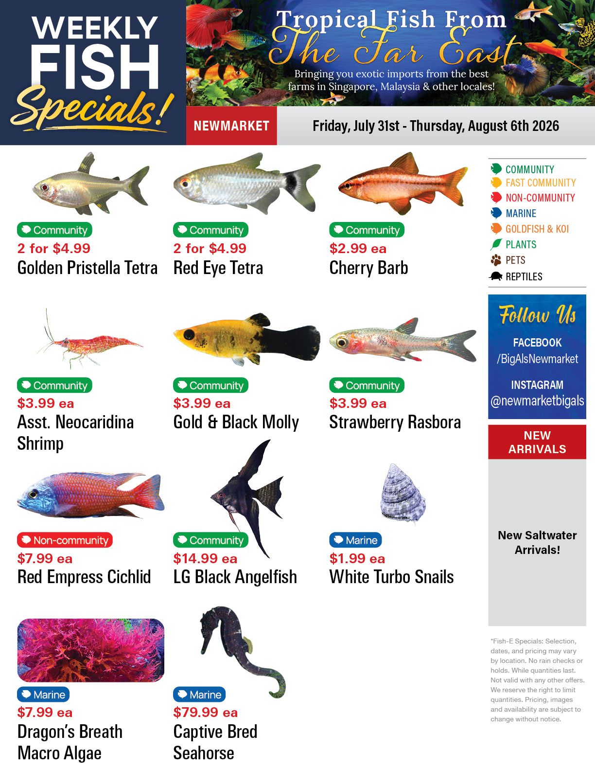 Big Al's (Newmarket) Weekly Specials July 31 to August 6