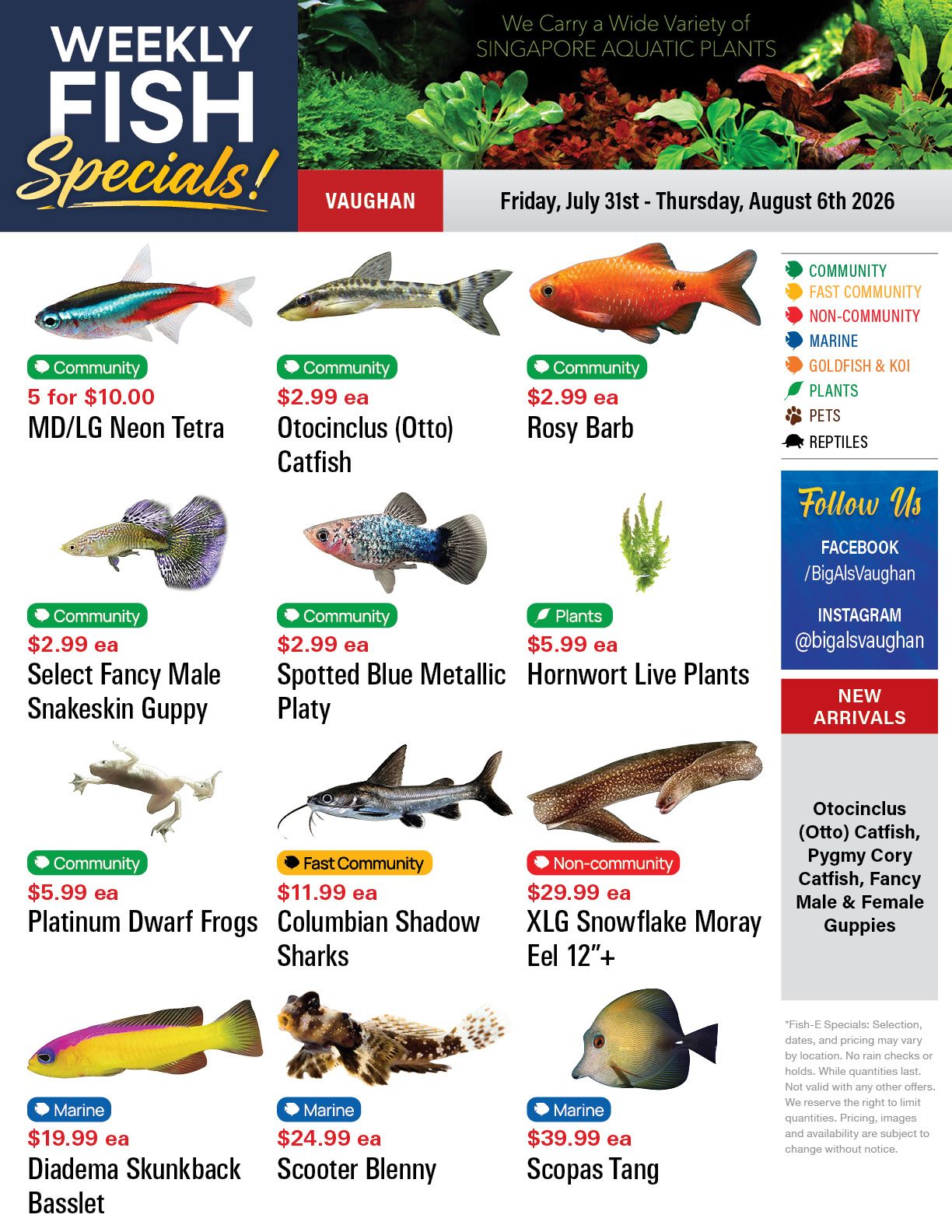 Big Al's (Vaughan) Weekly Specials July 31 to August 6