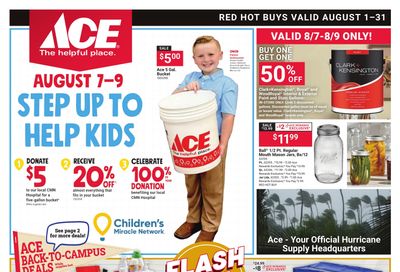 Ace Hardware (FL, GA, SC) Weekly Ad August 1 - 31, 2026