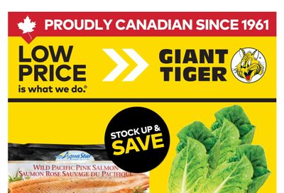 Giant Tiger (ON) Flyer August 5 to 11