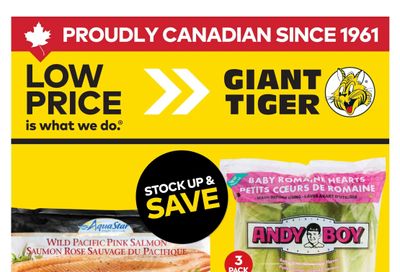 Giant Tiger (West) Flyer August 5 to 11