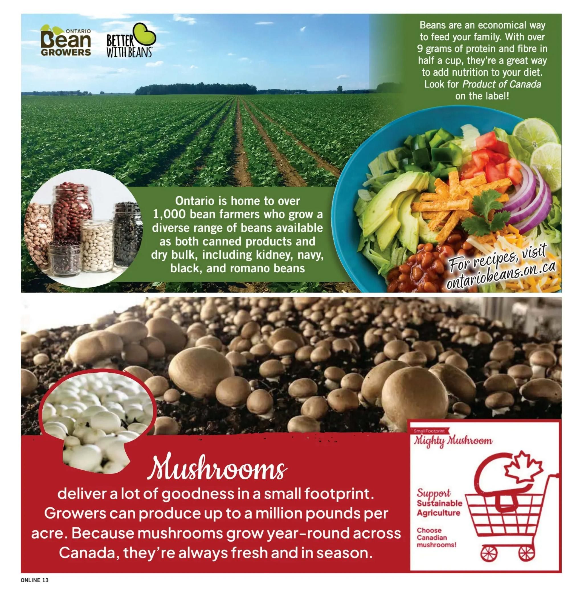 Fortinos Flyer August 6 to 12