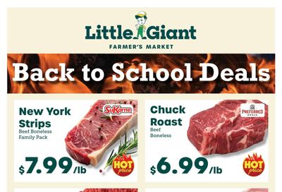 Little Giant (South Fulton Area, GA) Weekly Ad August 5 - 11, 2026