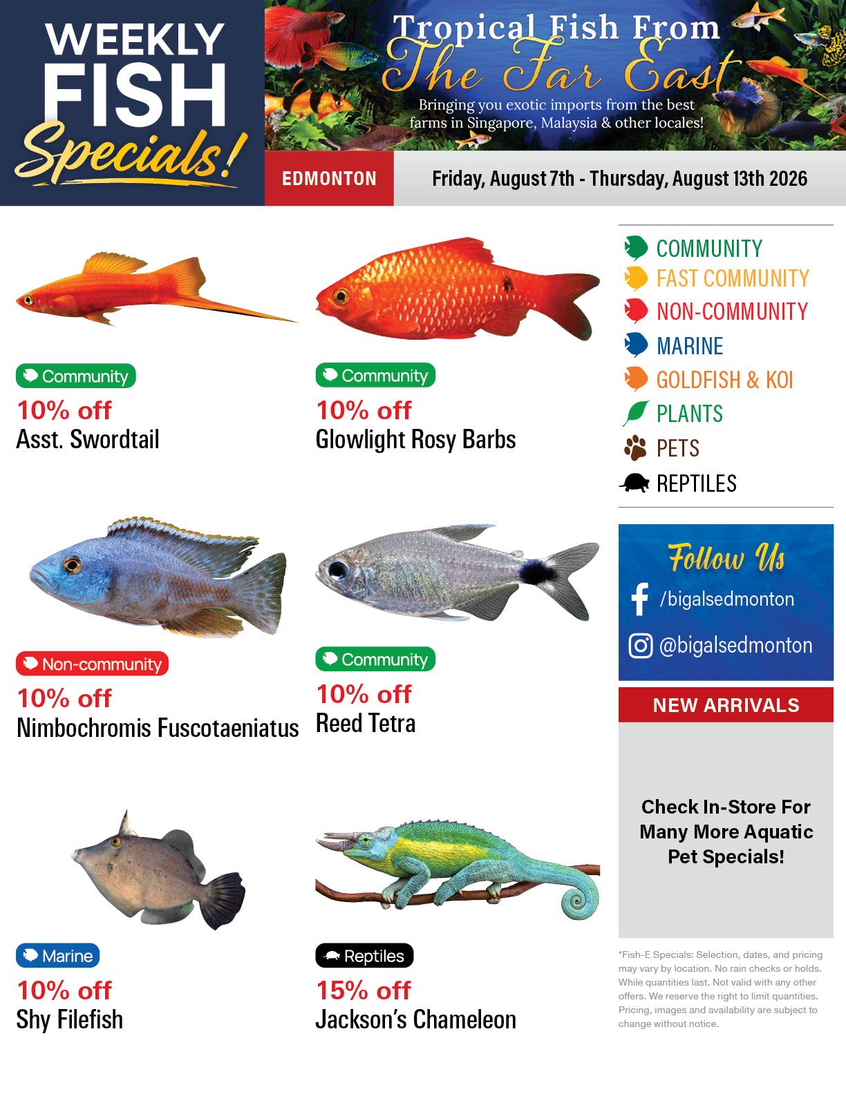 Big Al's (Edmonton) Weekly Specials August 7 to 13