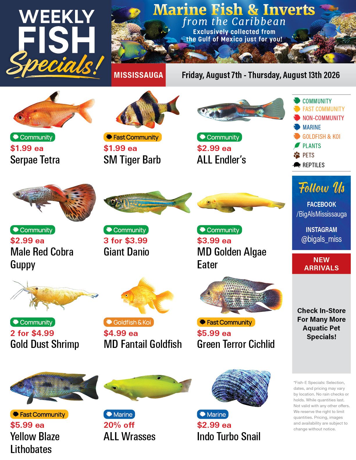 Big Al's (Mississauga) Weekly Specials August 7 to 13