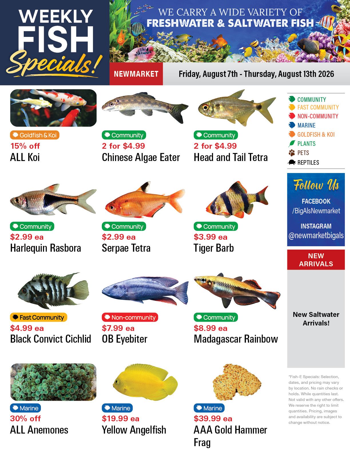 Big Al's (Newmarket) Weekly Specials August 7 to 13