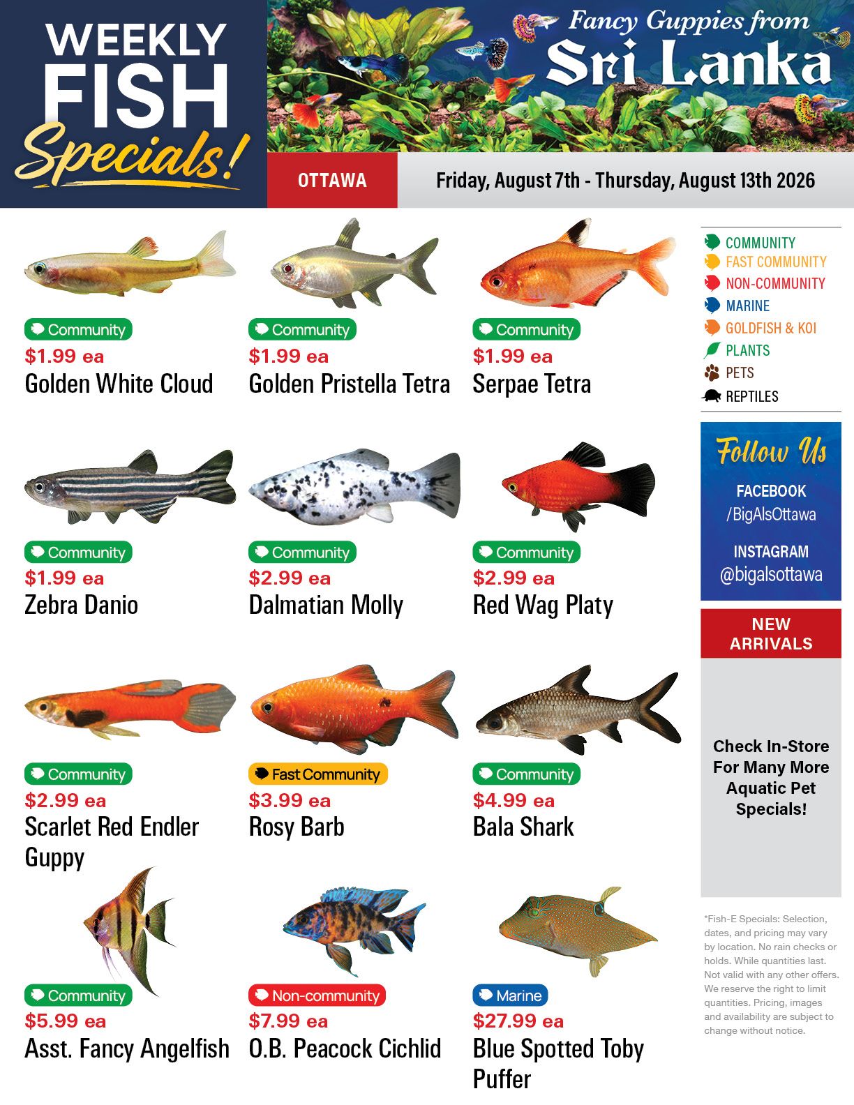 Big Al's (Ottawa) Weekly Specials August 7 to 13