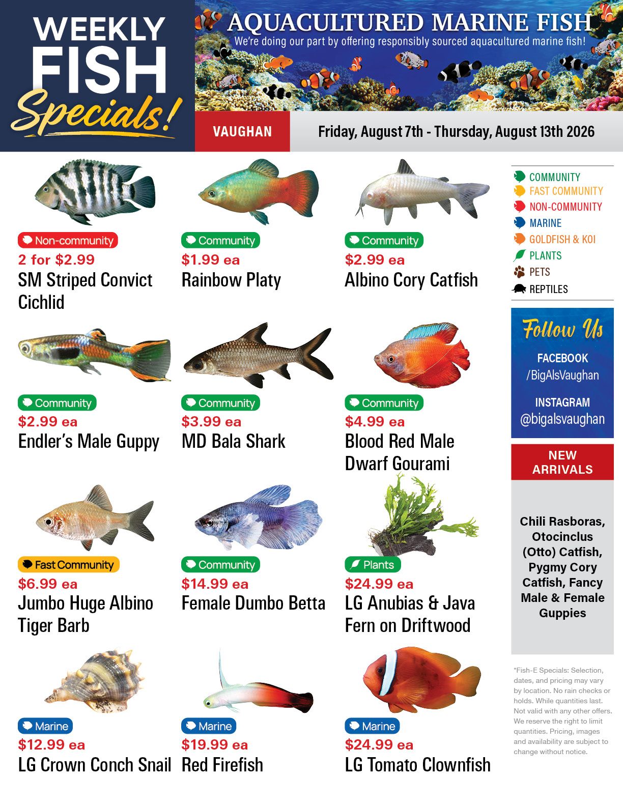 Big Al's (Vaughan) Weekly Specials August 7 to 13