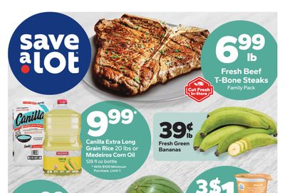 Save a Lot Food Stores (Hartford and Waterbury, CT) Weekly Ad August 9 - 15, 2026