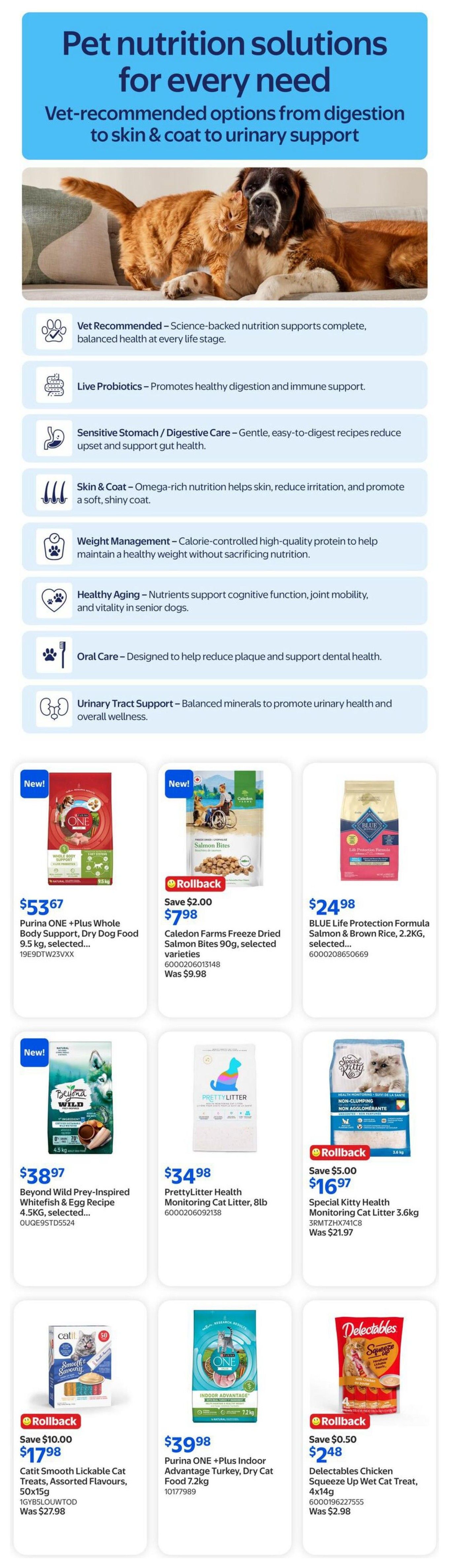 Walmart (ON) Flyer August 13 to 19