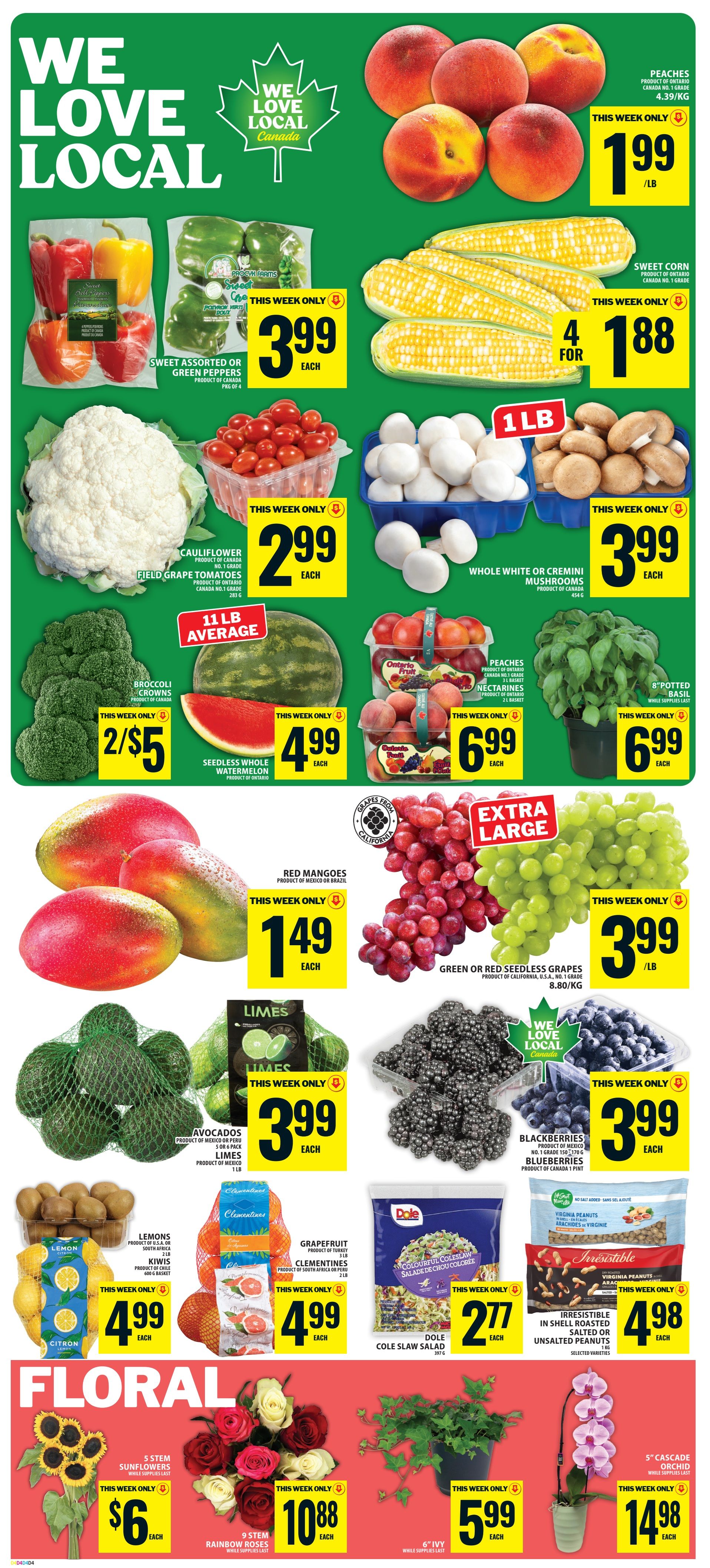 Food Basics Flyer August 13 to 19