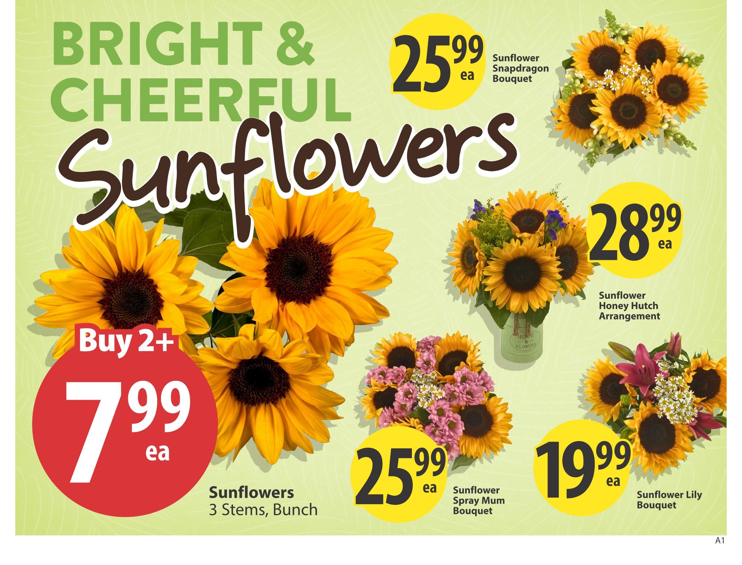 Save On Foods (BC) Flyer August 13 to 19
