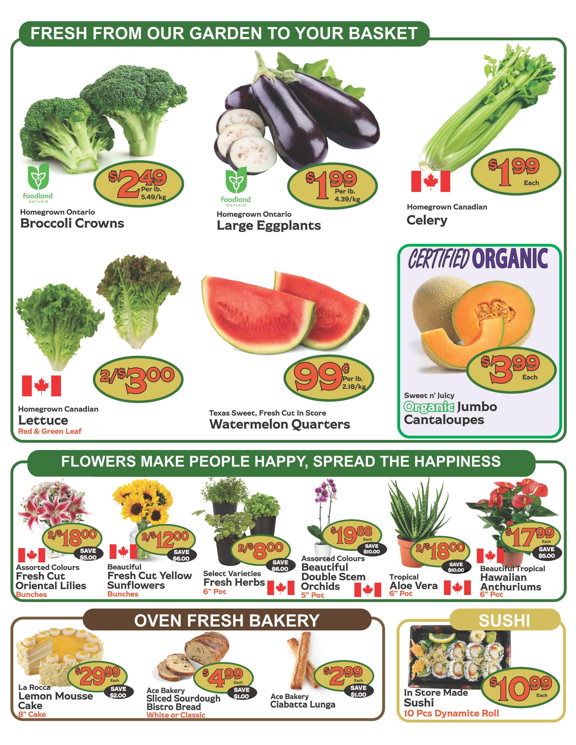 The Garden Basket Flyer August 13 to 19