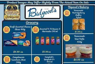 Bidgood's Flyer August 13 to 19