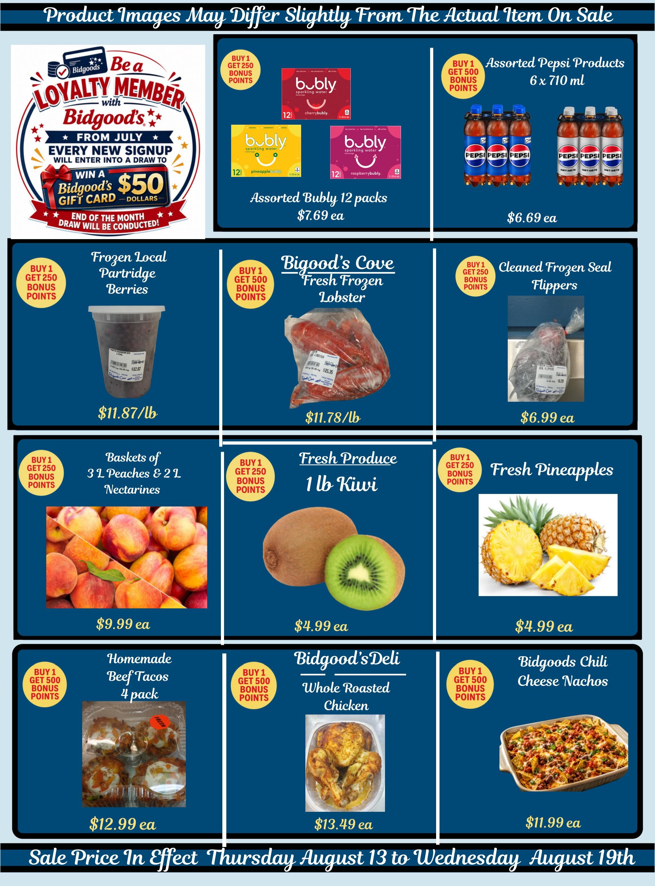 Bidgood's Flyer August 13 to 19