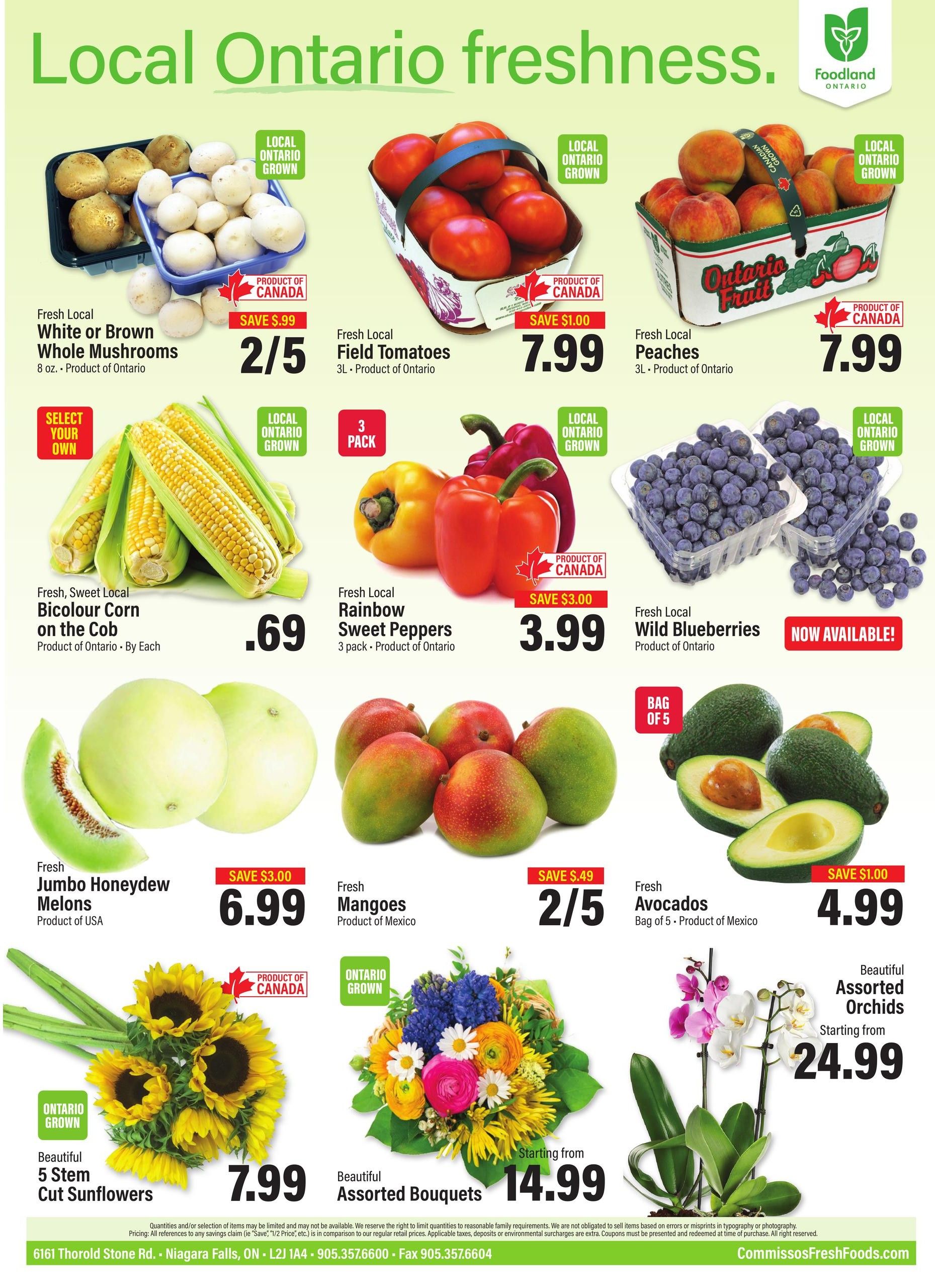 Commisso's Fresh Foods Flyer August 14 to 20