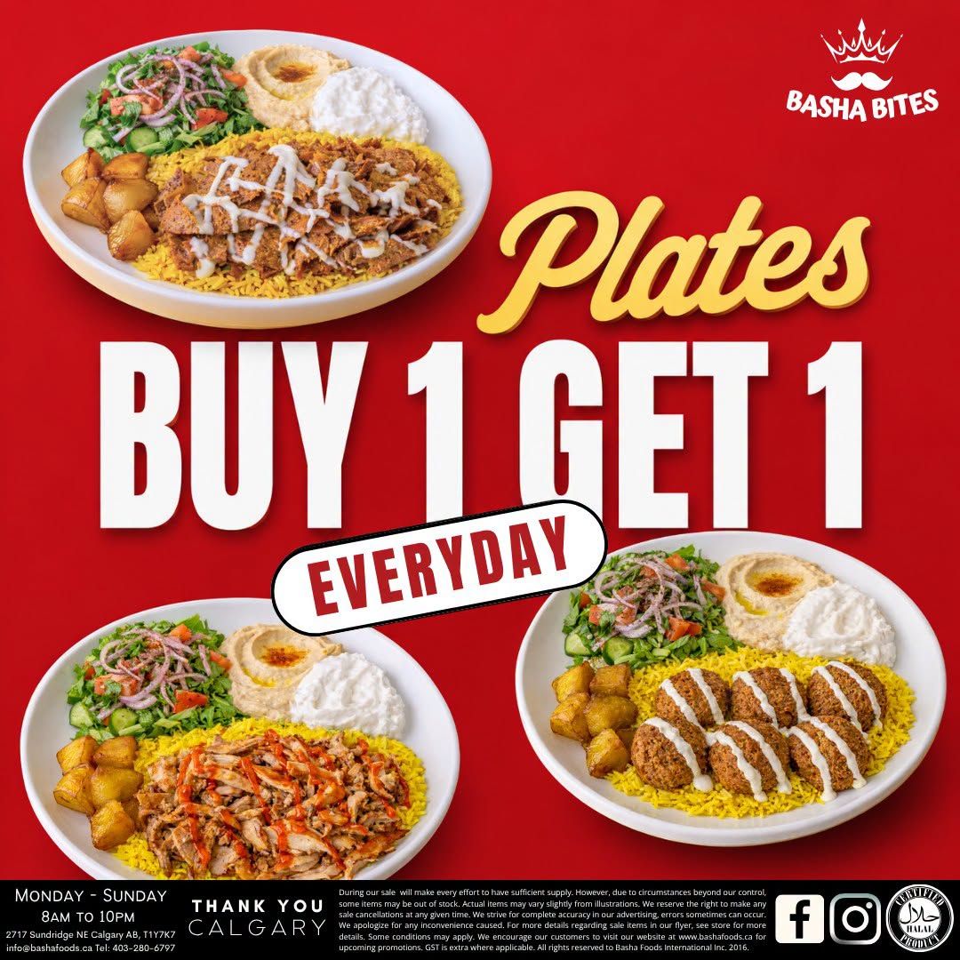 Basha Foods International Flyer August 13 to 19