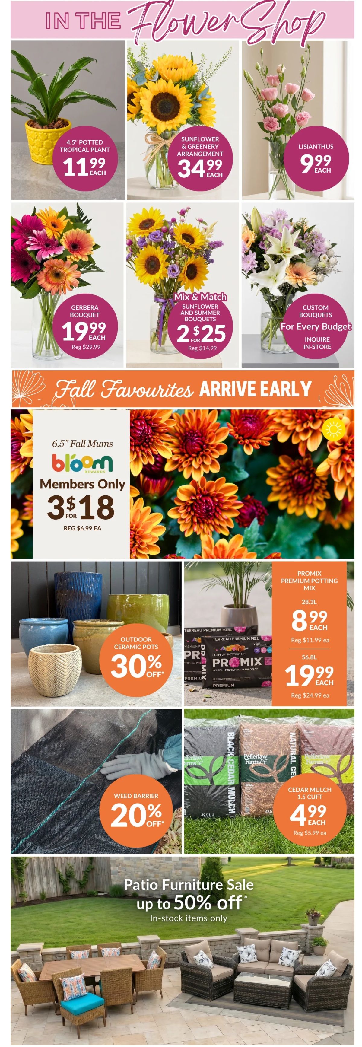 Lakeside Garden Gallery Flyer August 14 to 20