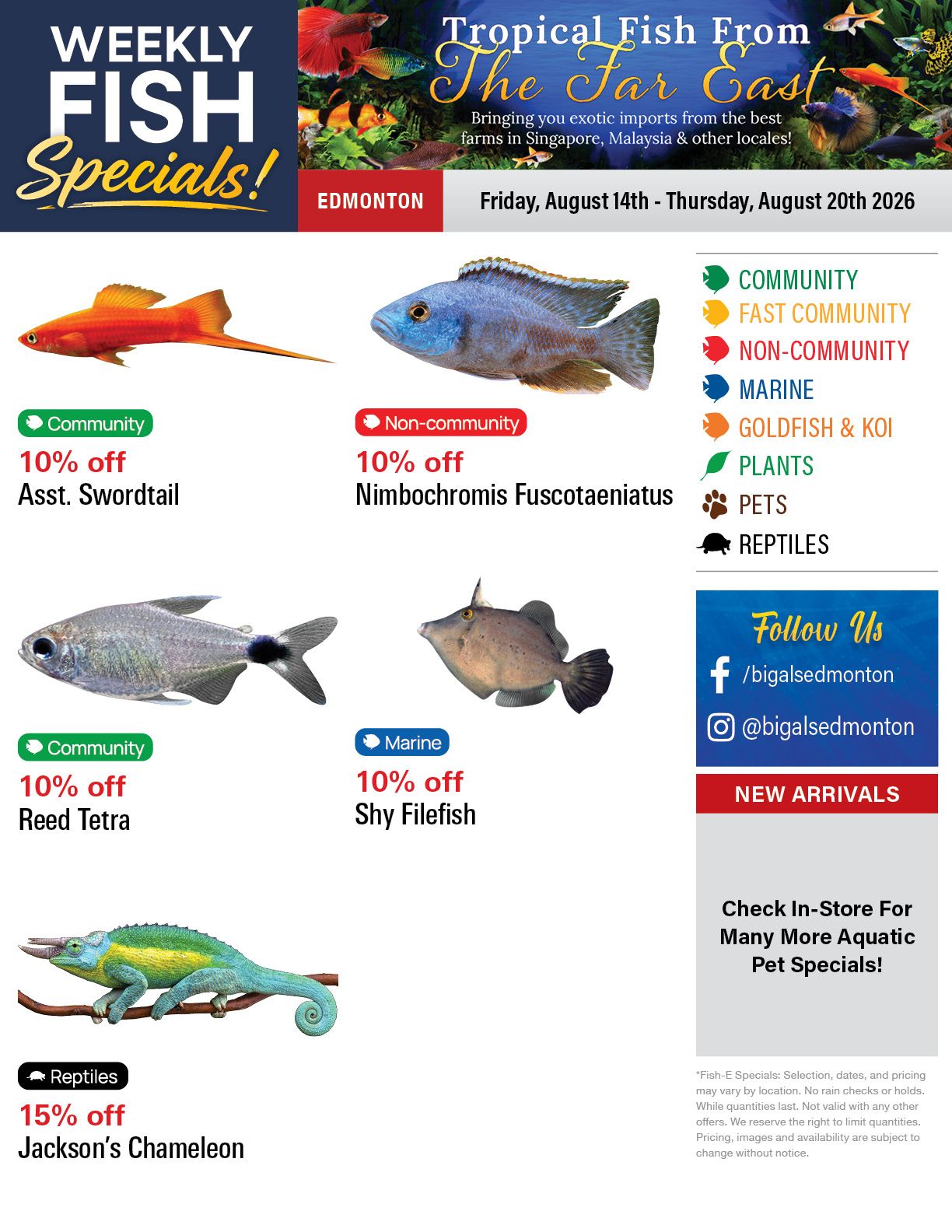 Big Al's (Edmonton) Weekly Specials August 14 to 20