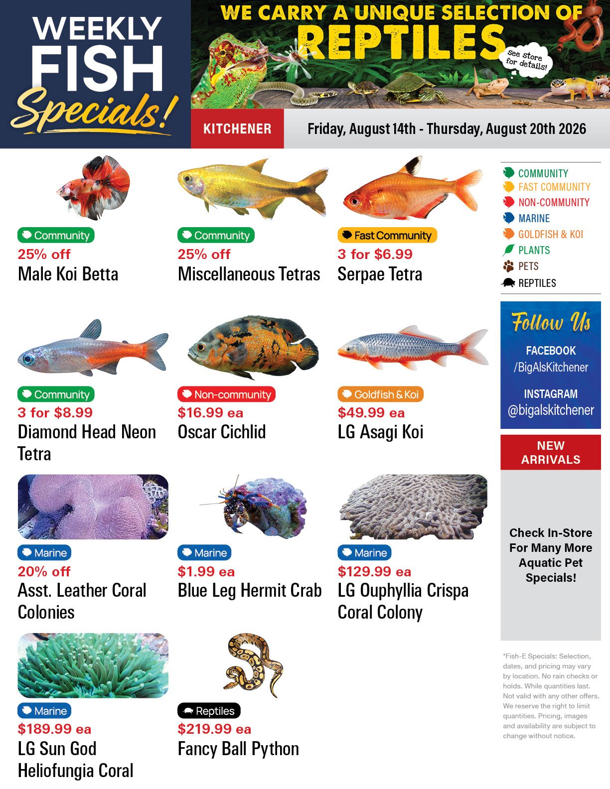 Big Al's (Kitchener) Weekly Specials August 14 to 20