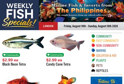 Big Al's (London) Weekend Specials August 14 to 17