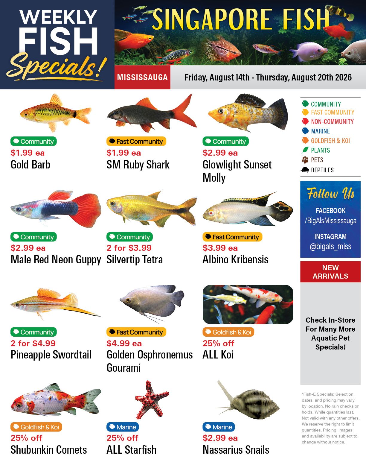 Big Al's (Mississauga) Weekly Specials August 14 to 20