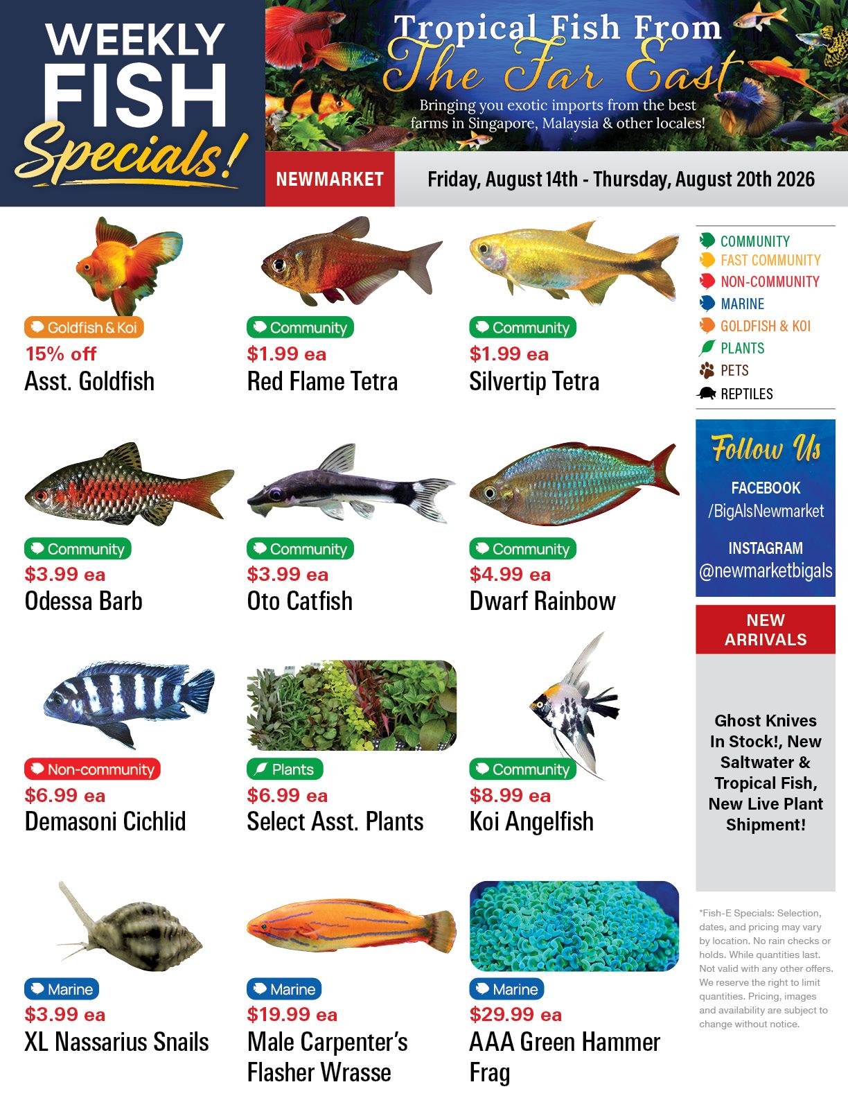 Big Al's (Newmarket) Weekly Specials August 14 to 20