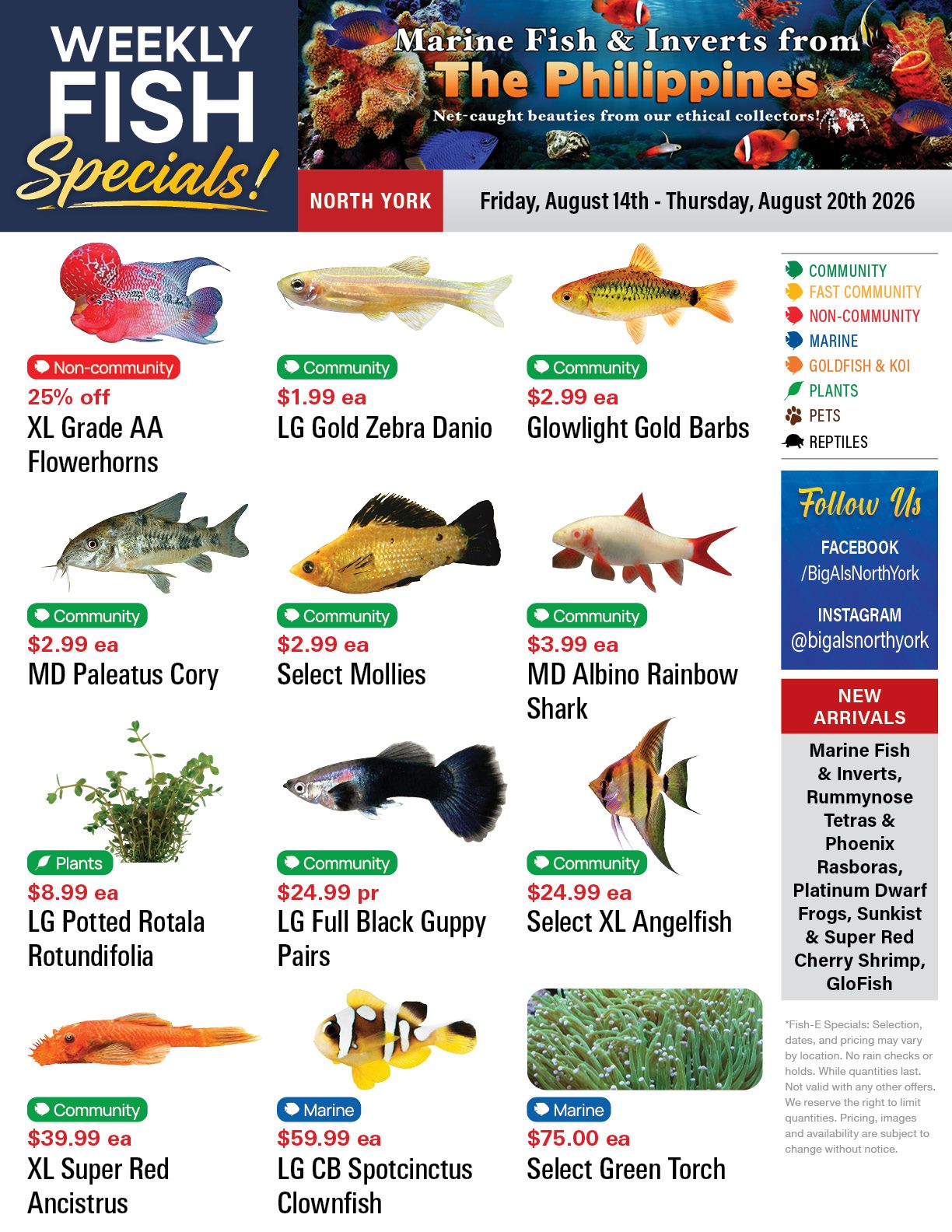 Big Al's (North York) Weekly Specials August 14 to 20