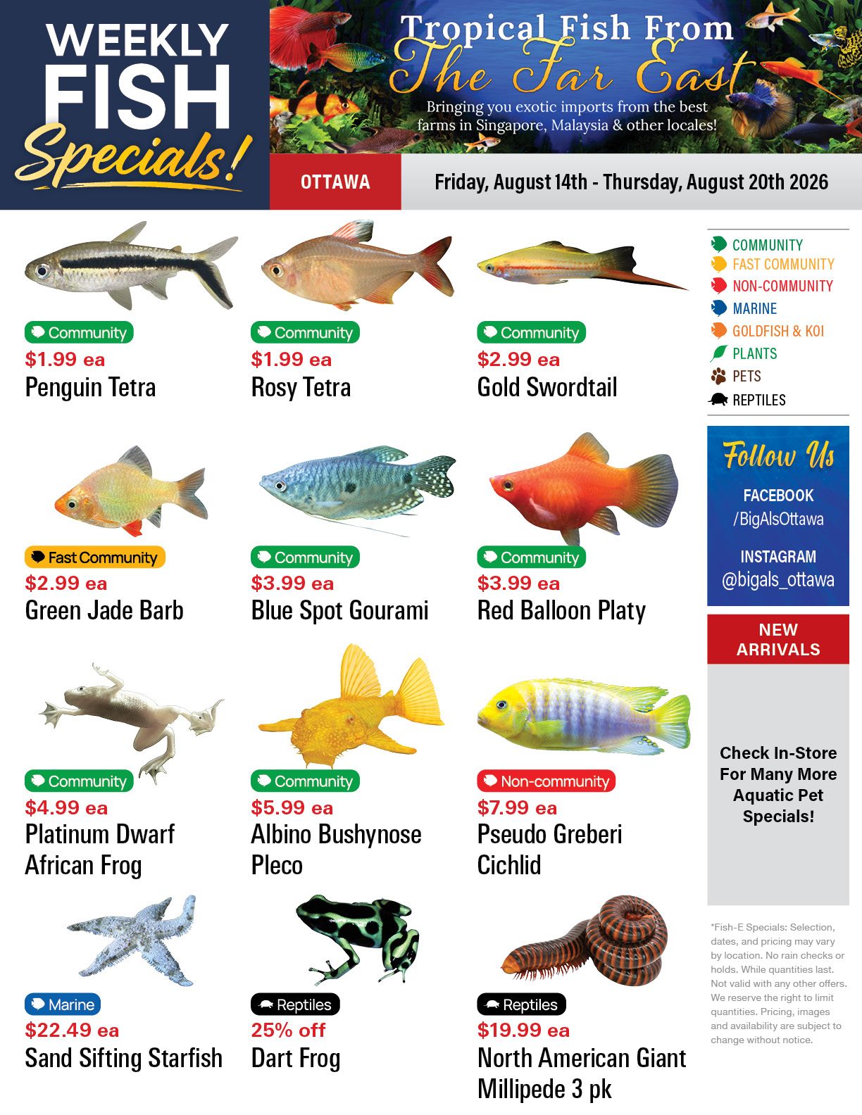 Big Al's (Ottawa) Weekly Specials August 14 to 20