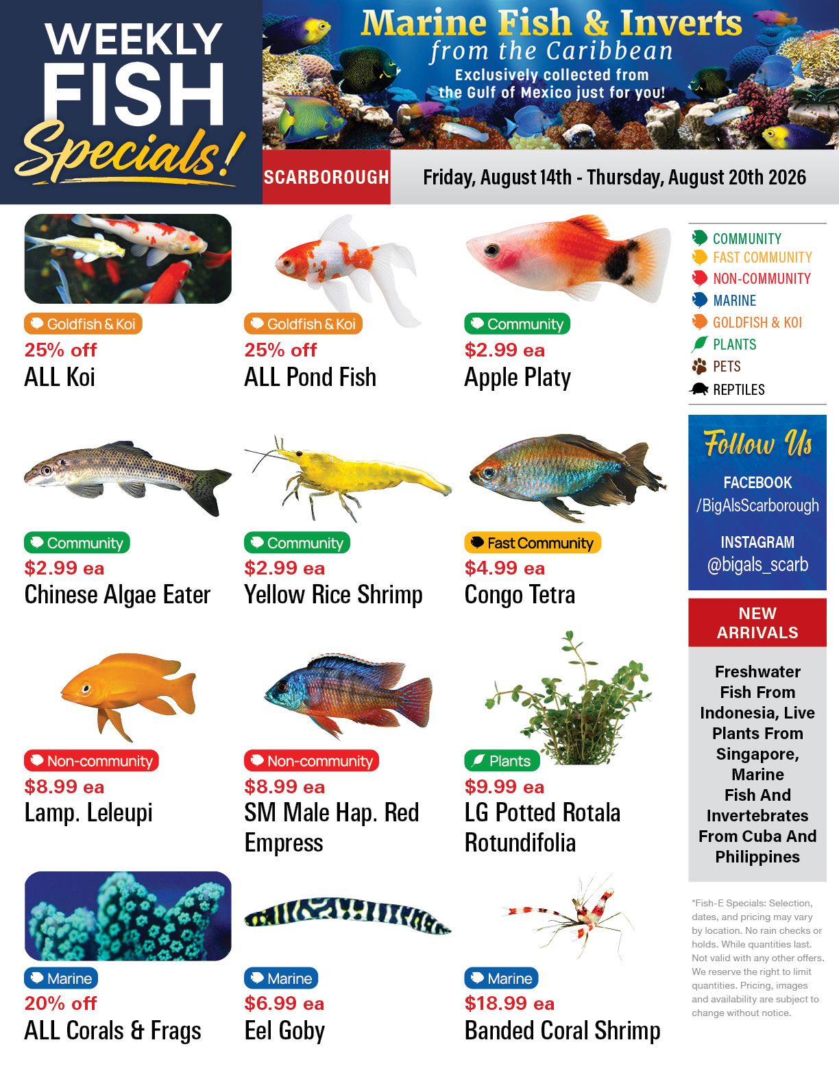Big Al's (Scarborough) Weekly Specials August 14 to 20