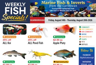 Big Al's (Scarborough) Weekly Specials August 14 to 20
