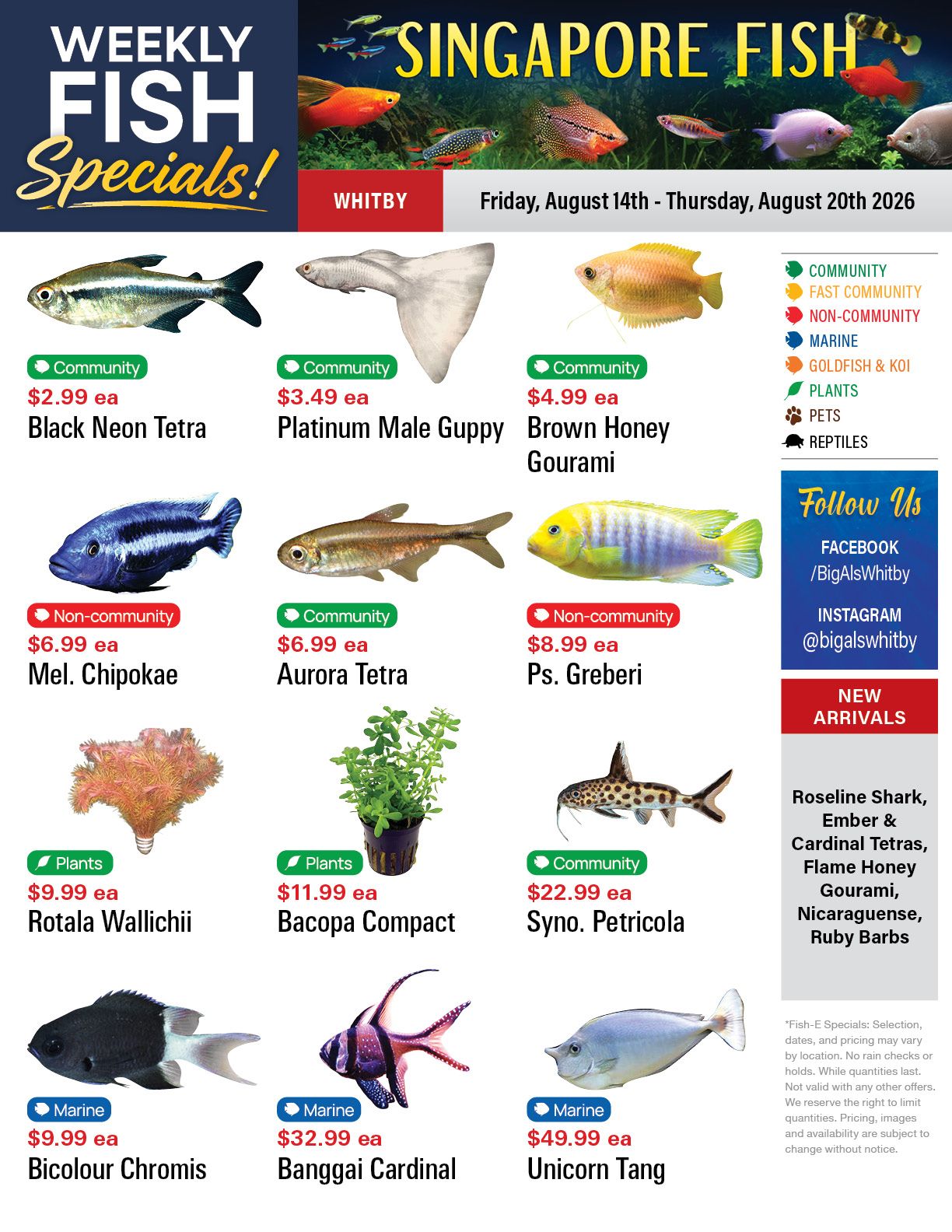 Big Al's (Whitby) Weekly Specials August 14 to 20
