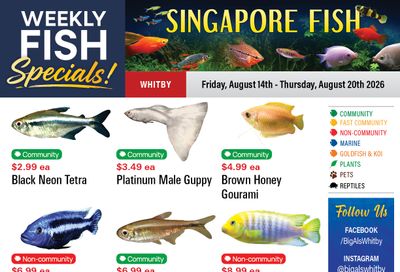 Big Al's (Whitby) Weekly Specials August 14 to 20
