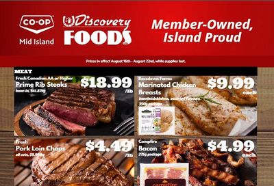 Discovery Foods Flyer August 16 to 22