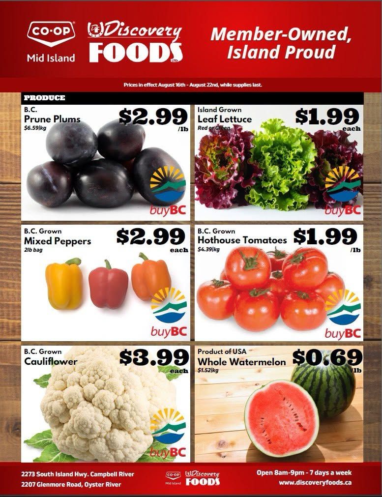 Discovery Foods Flyer August 16 to 22