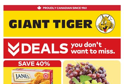 Giant Tiger (Atlantic) Flyer August 19 to 25