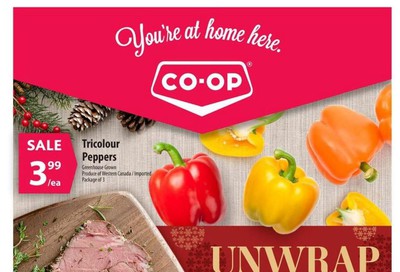 Co-op (West) Food Store Flyer November 14 to 20