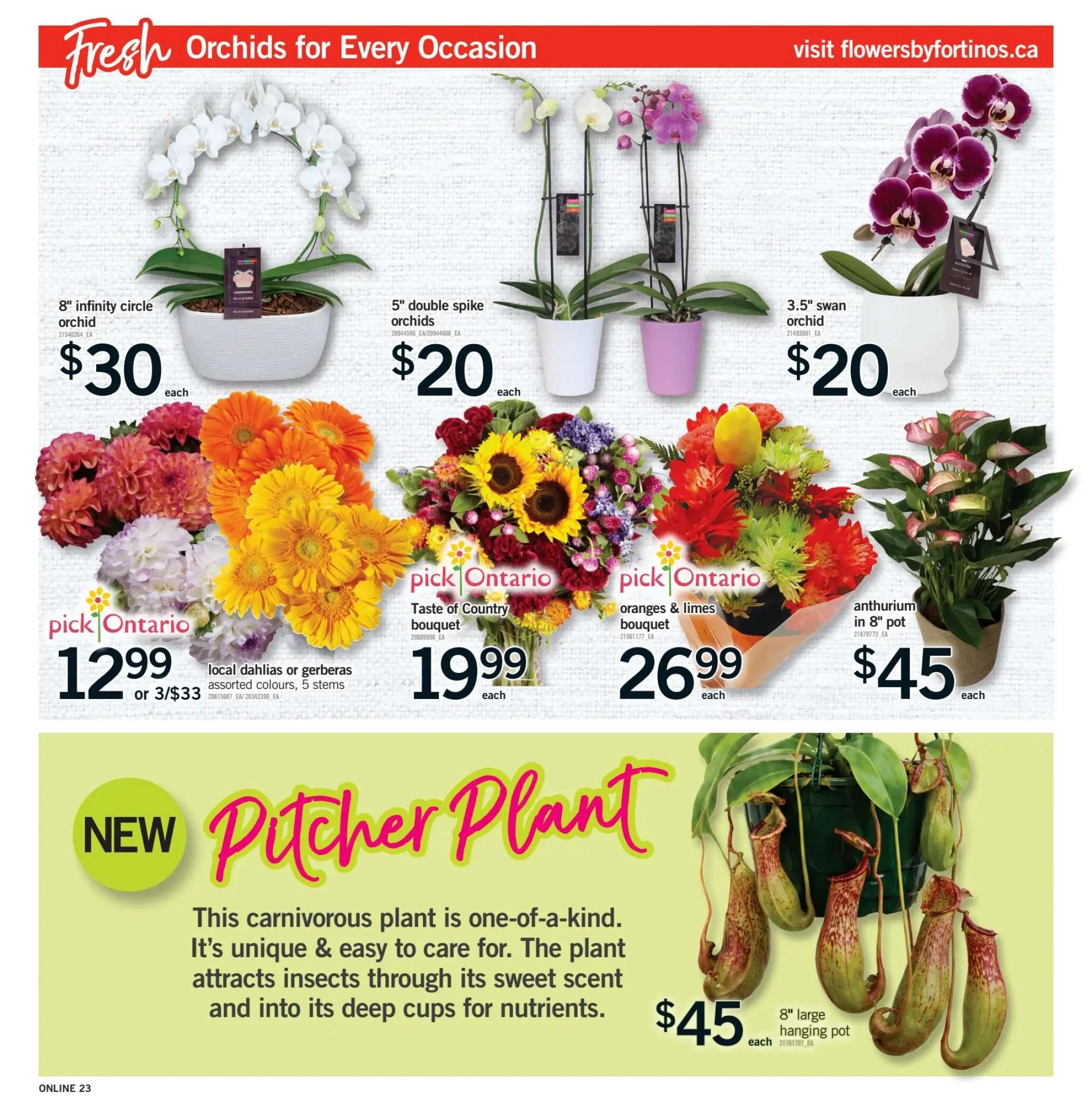 Fortinos Flyer August 20 to 26