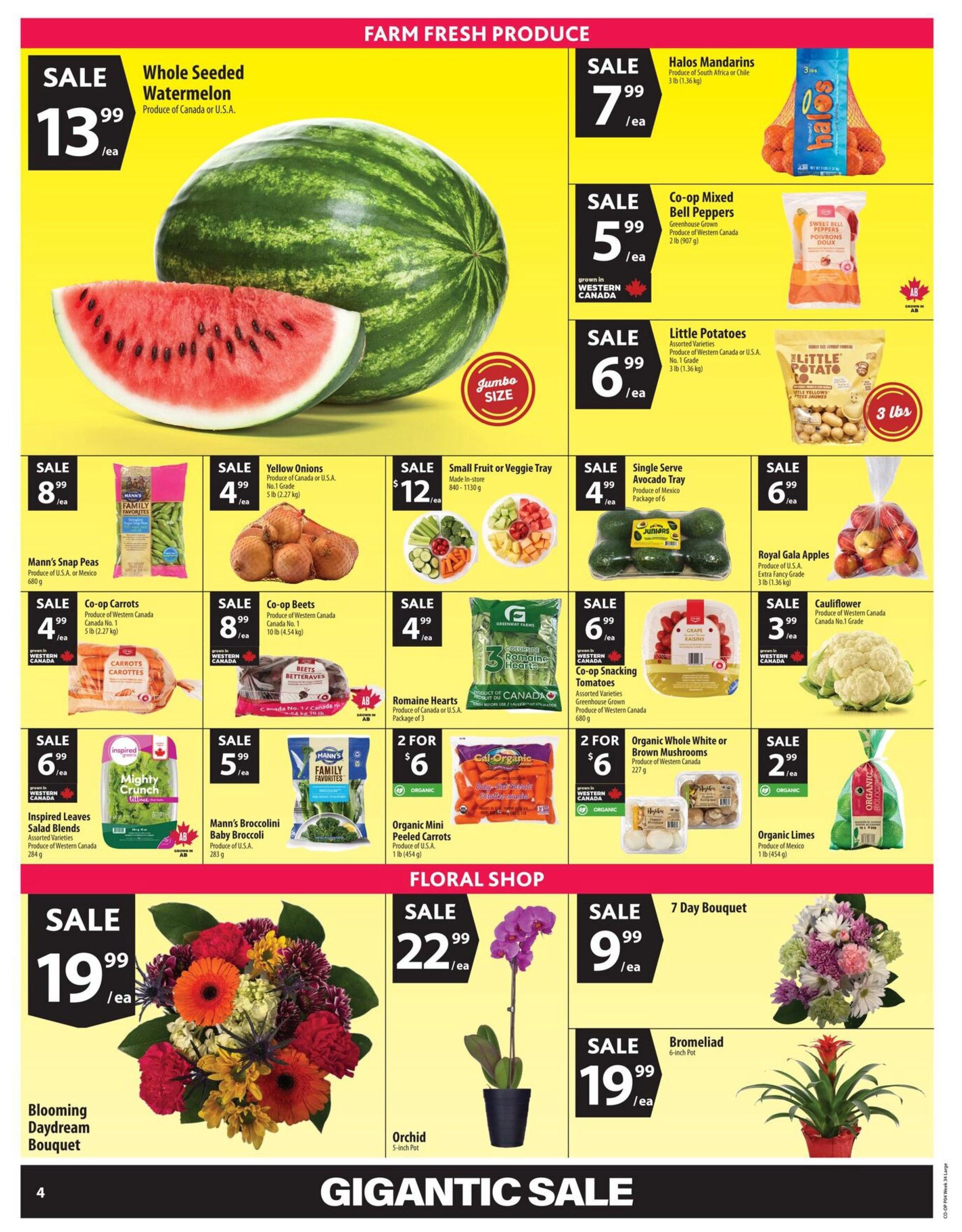 Co-op (West) Food Store Flyer August 20 to 26