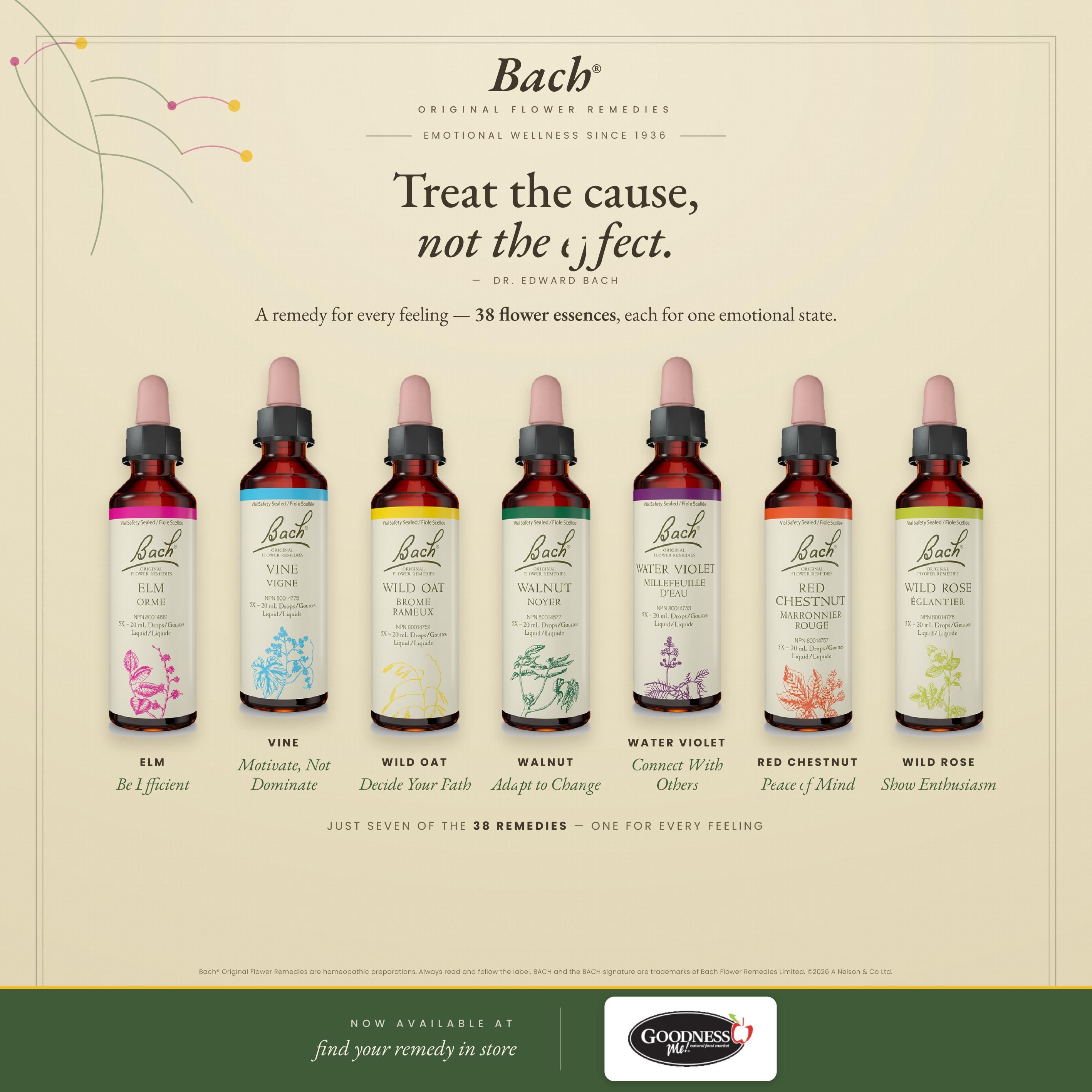 Goodness Me Flyer August 19 to 25