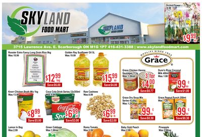 Skyland Food Mart Flyer August 21 to 27