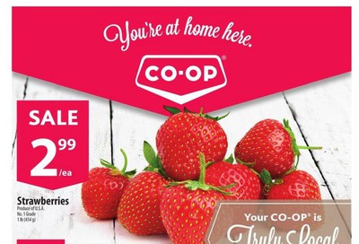 Co-op (West) Food Store Flyer July 2 to 8