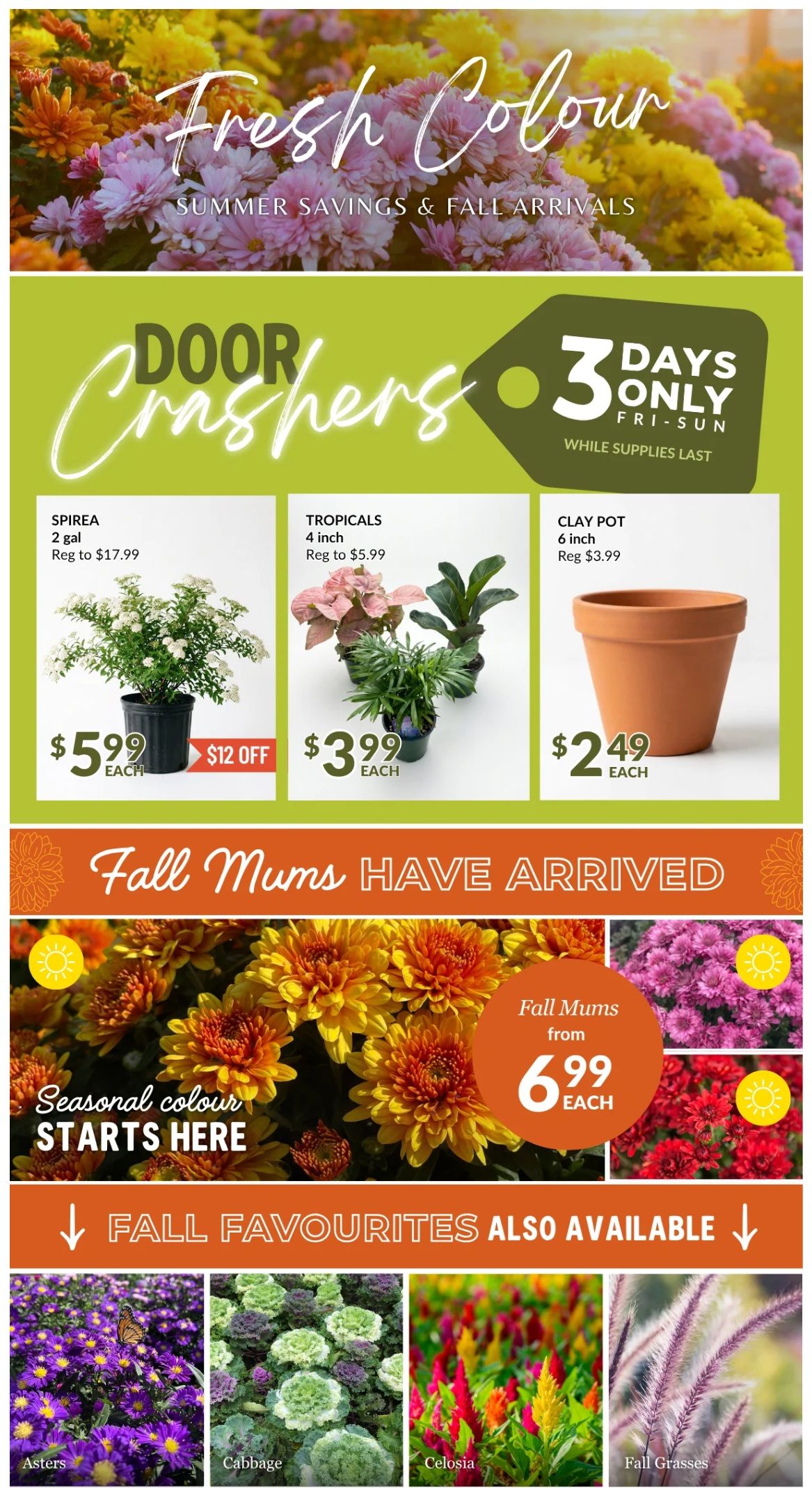 Lakeside Garden Gallery Flyer August 21 to 27