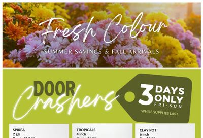 Lakeside Garden Gallery Flyer August 21 to 27