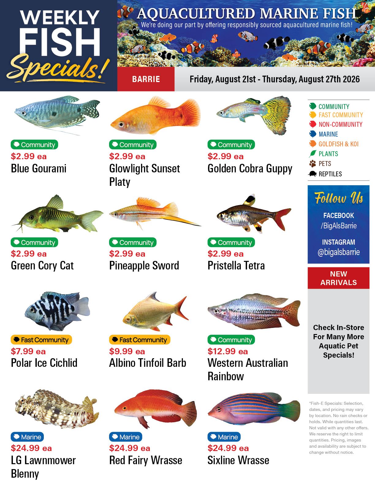 Big Al's (Barrie) Weekly Specials August 21 to 27