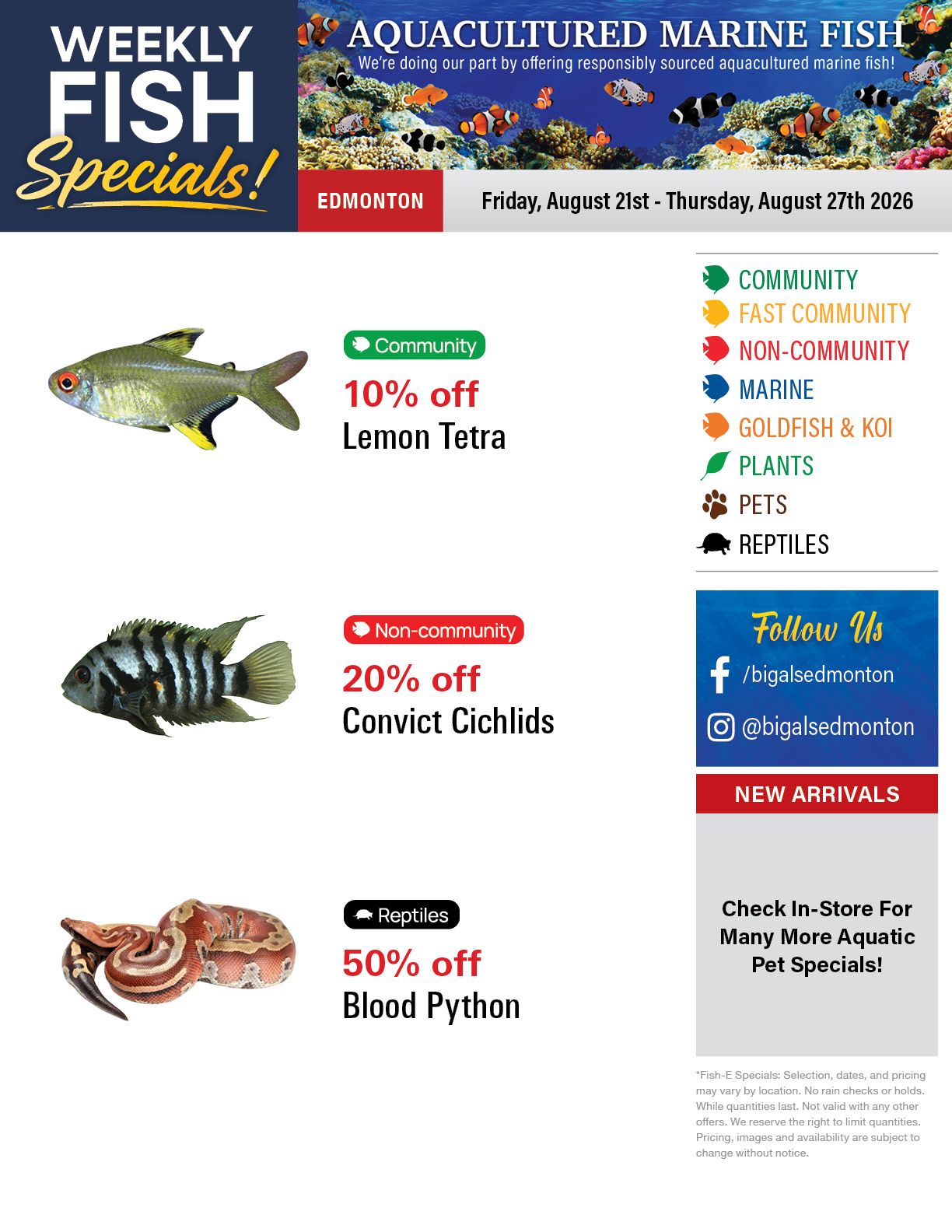 Big Al's (Edmonton) Weekly Specials August 21 to 27
